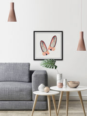 Little Bow Flats