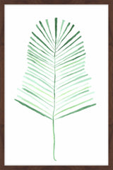 Palm Frond