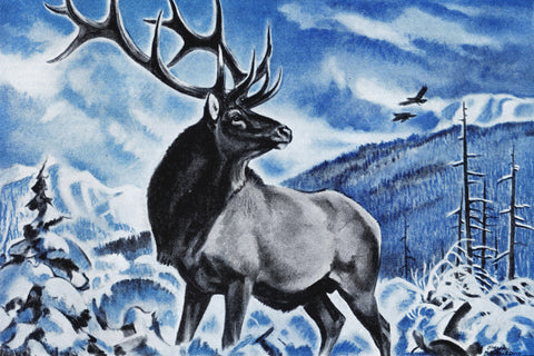 The Last Elk