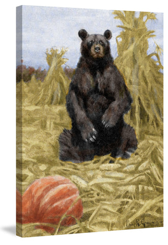 Bear in Hay