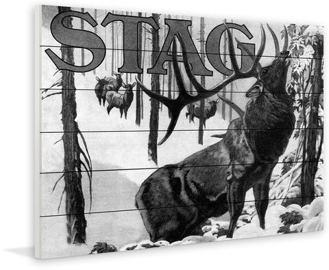 Stag