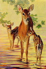 Doe and Fawns