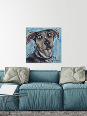 Catahoula 2