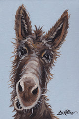 Donkey Favorite