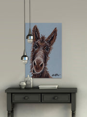Donkey Favorite