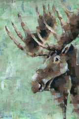 Le Curieux