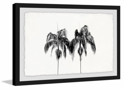 Two Palm Trees
