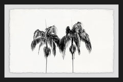 Two Palm Trees