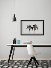 Two Palm Trees