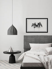 Two Palm Trees