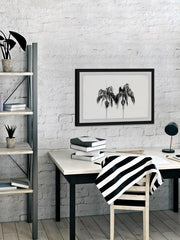 Two Palm Trees