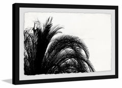 Palm Tree Foliage