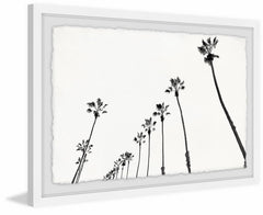 Bunch of Palm Trees
