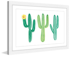 Cacti