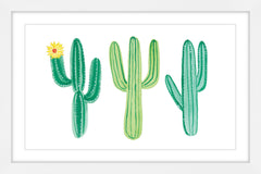 Cacti