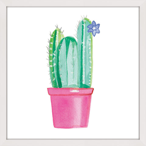 Potted Cactus