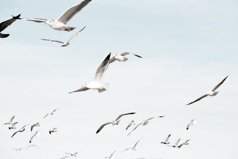Airborne