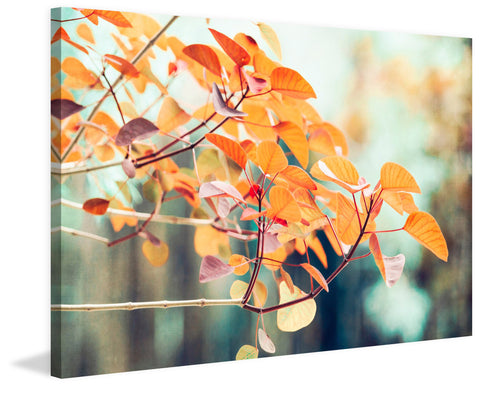 Autumnal