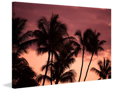 Under the Jeweled Sky