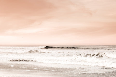 Feathered Dawn