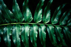 Green Thumb