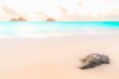 Island Magic