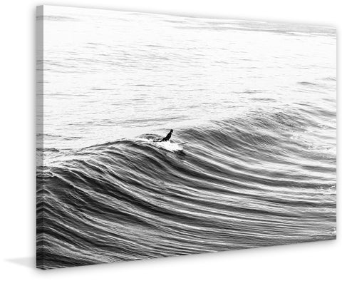 Morning Glide