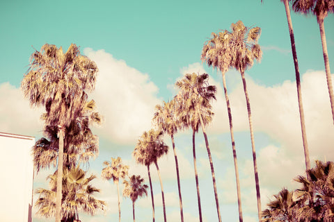 Road to California