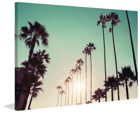 California Dreaming