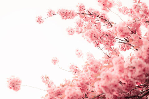 Growing Over