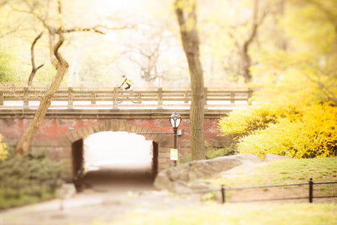 Mellow Yellow