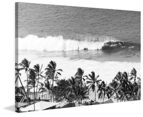 Surfing Safari