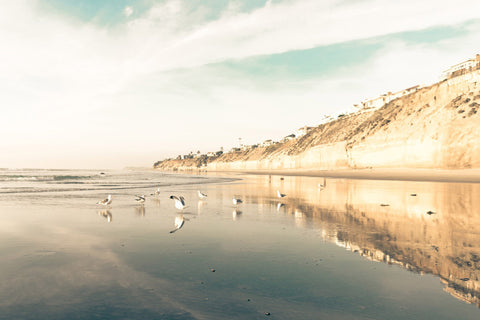 Coastal Blues