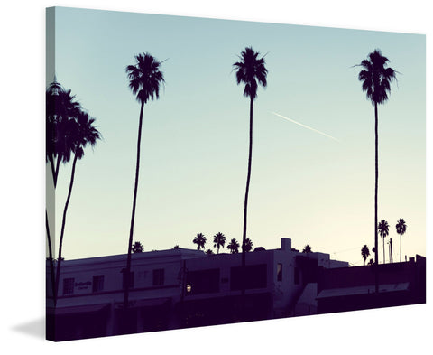 Desert Dawn
