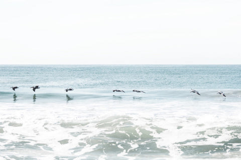 Follow the Leader