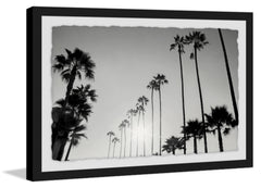 California Dreaming III