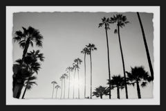California Dreaming III