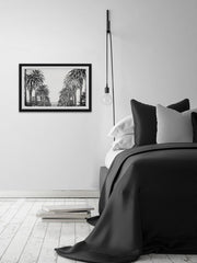 Palm Tree Avenue