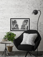 Palm Tree Avenue