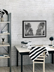 Palm Tree Avenue