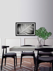 Palm Frond II