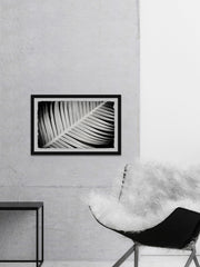 Palm Frond II
