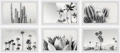 Trees and Plants Hexaptych