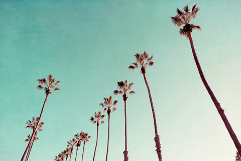 Just Another Cool Cali Morning