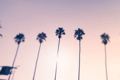 Pastel Breeze