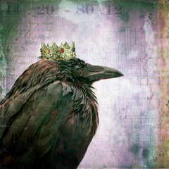 Crow King