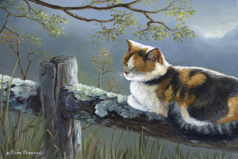 The Cat on the Old Wood