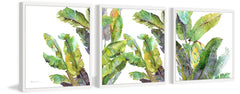 Chic Banana Leaves Triptych