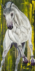 Balthazar Lipizzan Horse