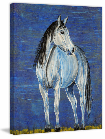 Blue Note Appaloosa Horse